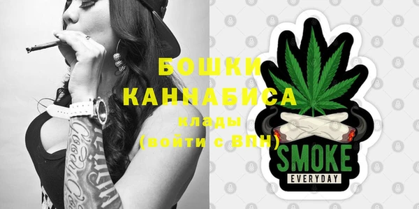 ПСИЛОЦИБИНОВЫЕ ГРИБЫ Козловка