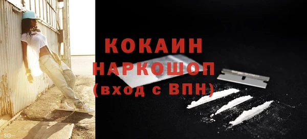 ПСИЛОЦИБИНОВЫЕ ГРИБЫ Козловка