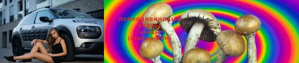 ПСИЛОЦИБИНОВЫЕ ГРИБЫ Козловка