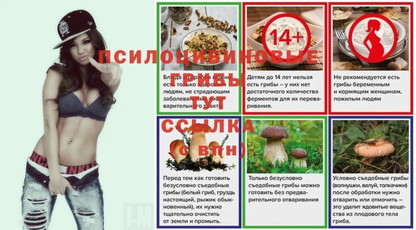apvp Козельск