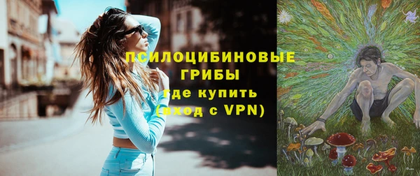 apvp Козельск