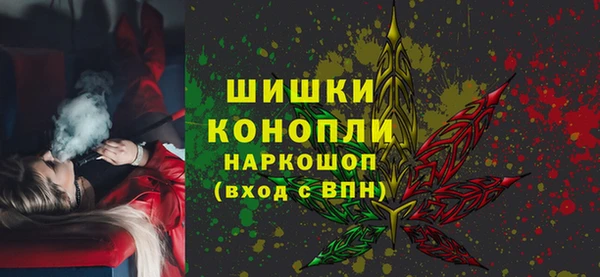 ПСИЛОЦИБИНОВЫЕ ГРИБЫ Козловка