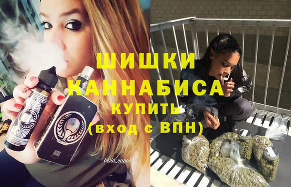 ПСИЛОЦИБИНОВЫЕ ГРИБЫ Козловка