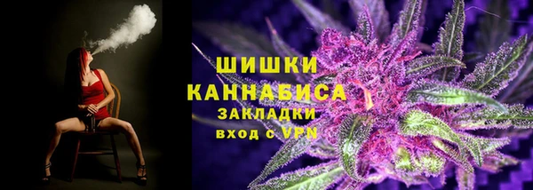 ПСИЛОЦИБИНОВЫЕ ГРИБЫ Козловка