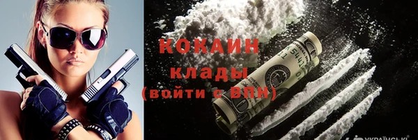 ПСИЛОЦИБИНОВЫЕ ГРИБЫ Козловка