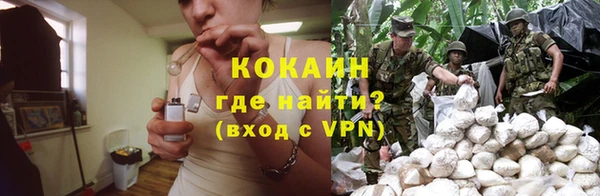 соль ск Кодинск
